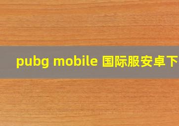 pubg mobile 国际服安卓下载